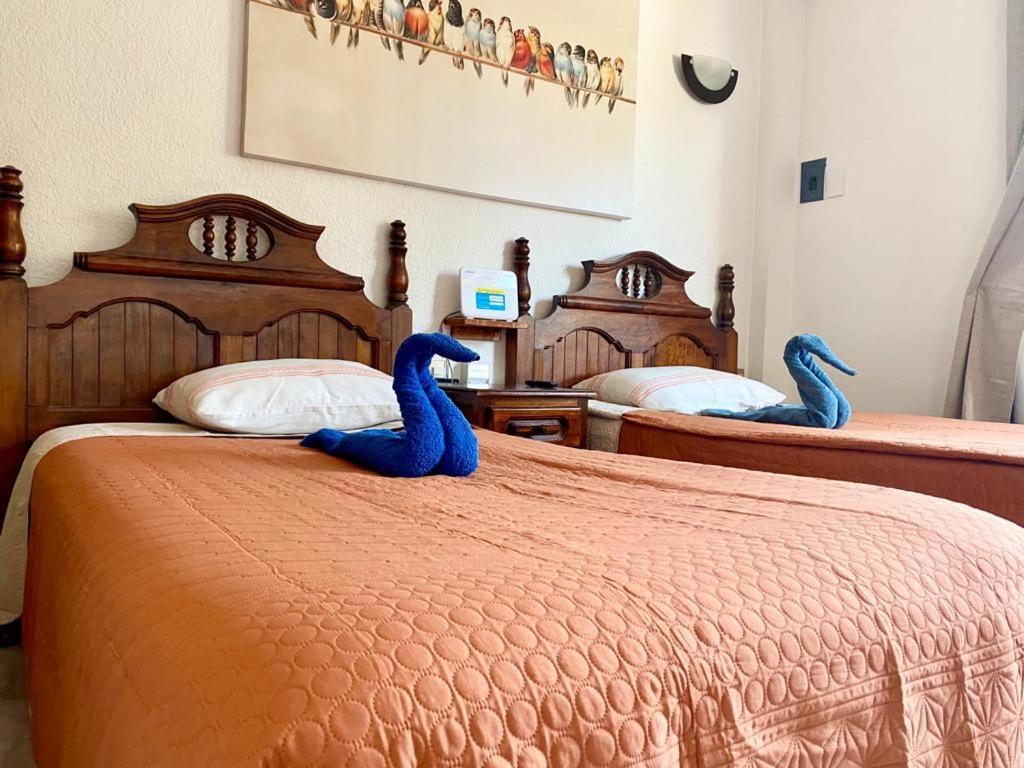Suites Ximajo Brisas de Zicatela 外观 照片